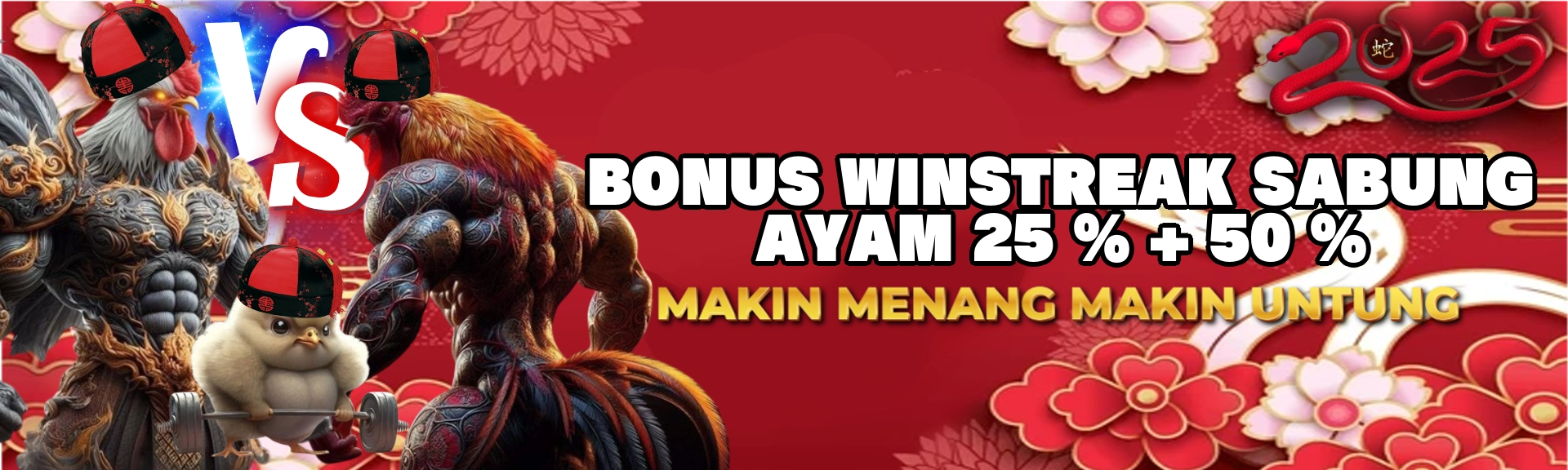 Bonus Winstreak Sabung Ayam 25% + 50% di Juaraspin, Menang Terus, Dapat Keuntungan Lebih!